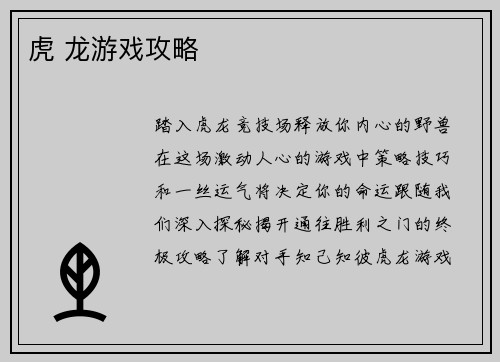 虎 龙游戏攻略